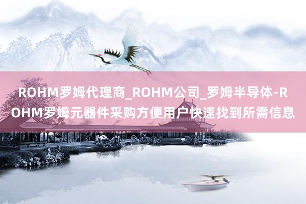 ROHM罗姆代理商_ROHM公司_罗姆半导体-ROHM罗姆元器件采购方便用户快速找到所需信息